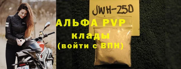 сатива Арсеньев