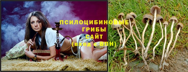 крисы Армянск