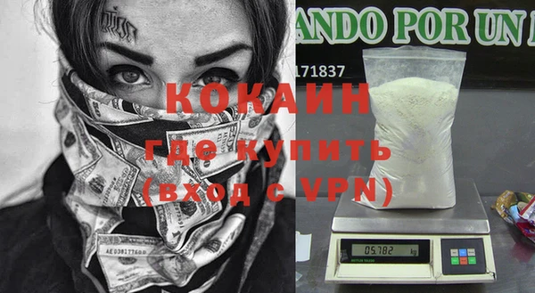 сатива Арсеньев