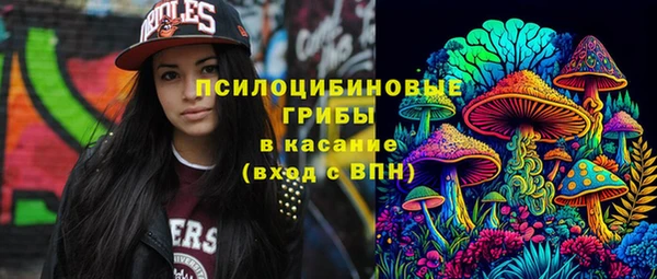крисы Армянск