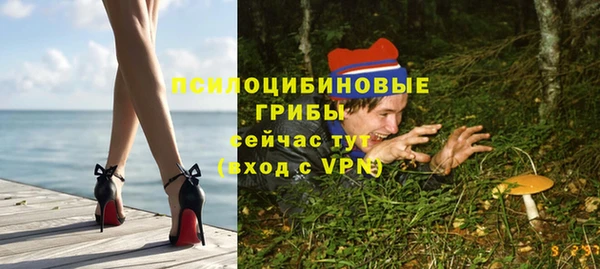 крисы Армянск