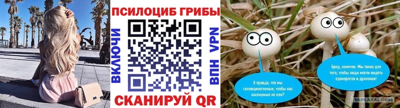 как найти наркотики Радужный площадка наркотические препараты Псилоцибиновые грибы Magic Shrooms